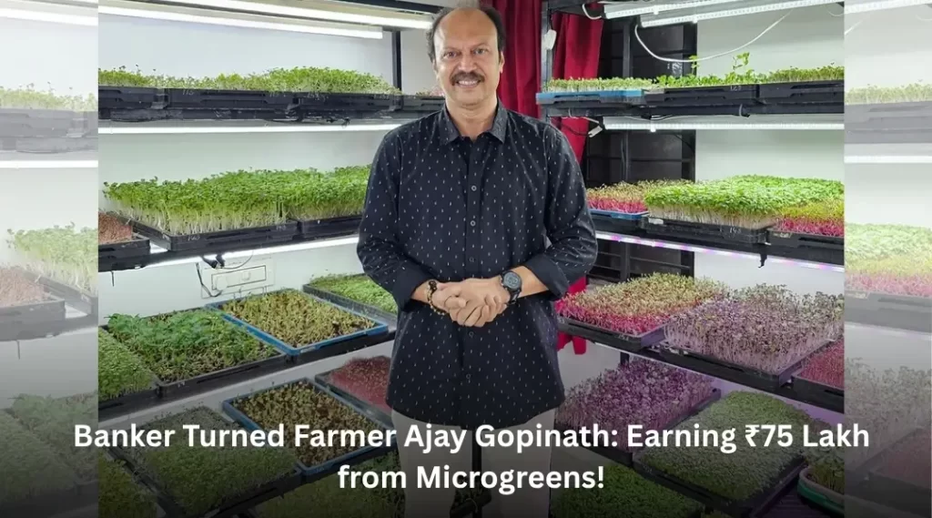 Banker Turned Farmer Ajay Gopinath: Earning ₹75 Lakh from Microgreens!