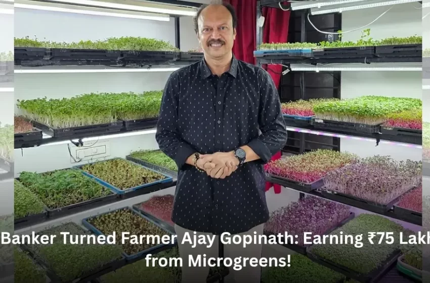  Banker Turned Farmer Ajay Gopinath: Earning ₹75 Lakh from Microgreens!